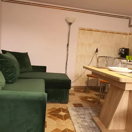 Carissa House 公寓 布拉索夫