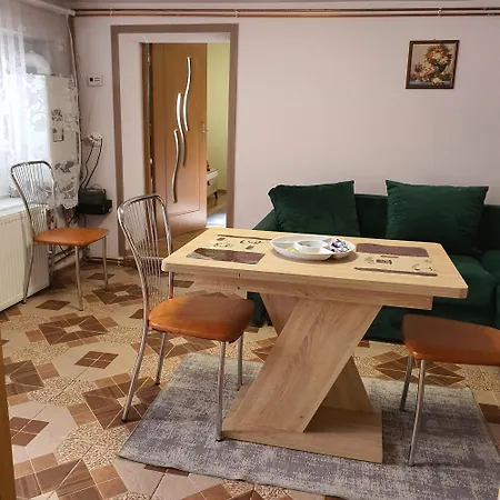 Carissa House 公寓 布拉索夫