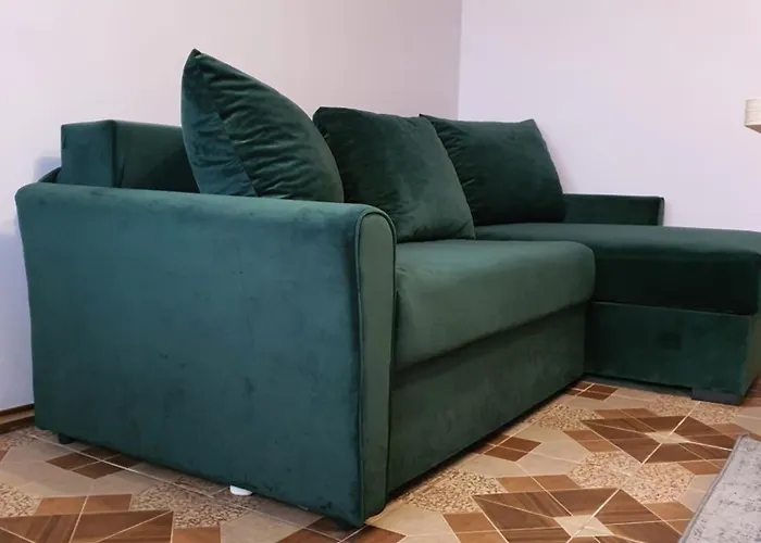 公寓 Carissa House 布拉索夫