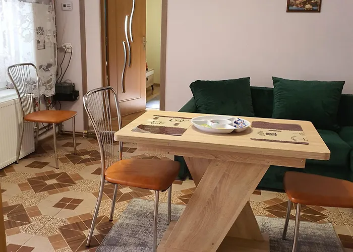 Carissa House 公寓 布拉索夫